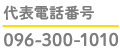 電話：096-300-1010